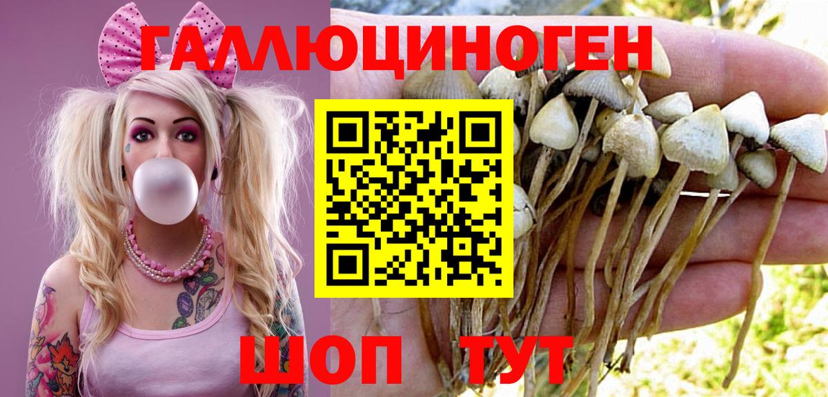 Галлюциногенные грибы мицелий Тавда